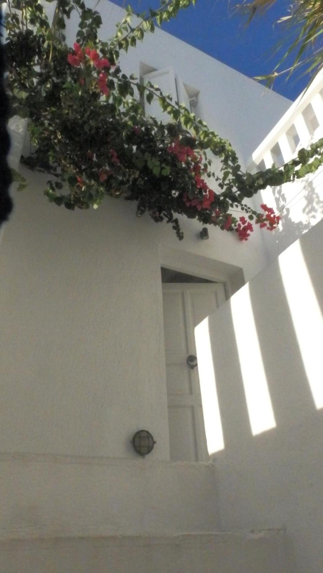 Mykonos Ornos Turquoise Home Eksteriør bilde